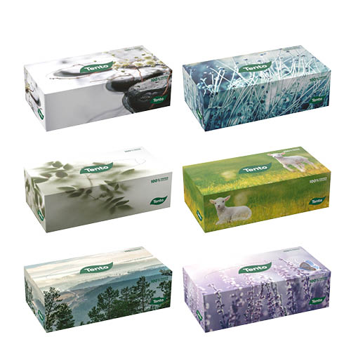 Kozmetikai kendő Tento Familybox 2 r&#233;tegű 120 kendő/dob
