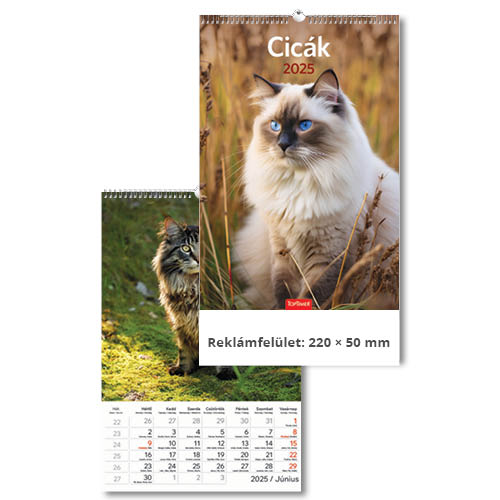 Falinapt&#225;r Cic&#225;k T094-11